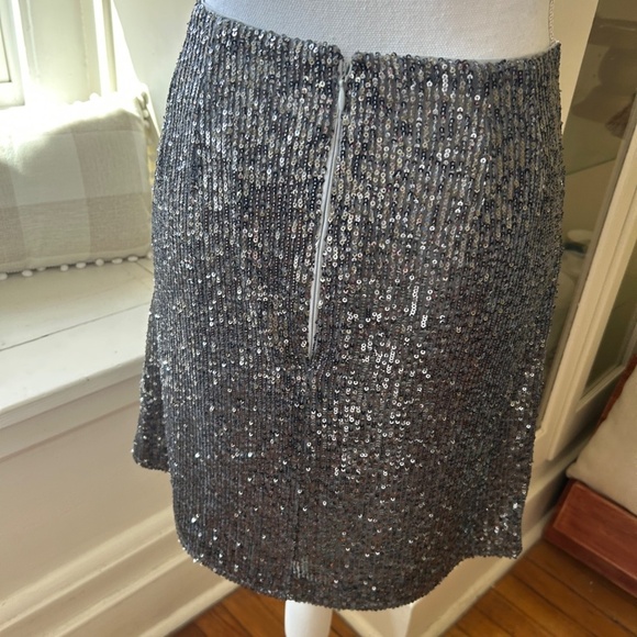 Sequin Skirt by LOFT - Picture 6 of 15
